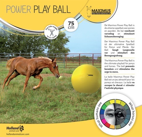 MAXIMUS POWER PLAY BALL 75 CM